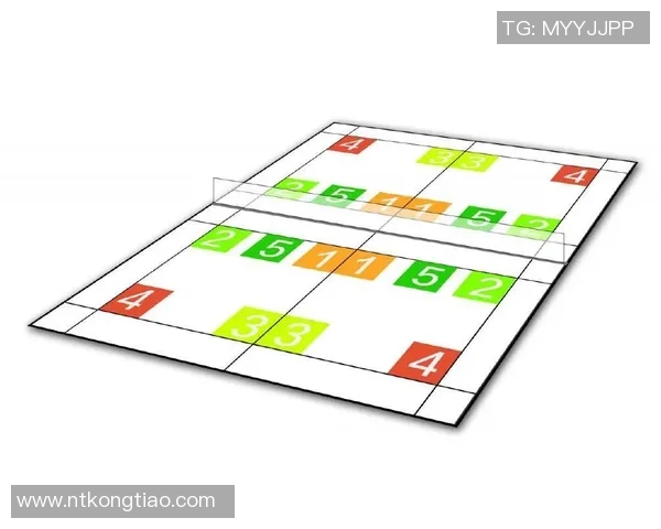 杭州羽毛球队进攻体系解析与战术应用探讨