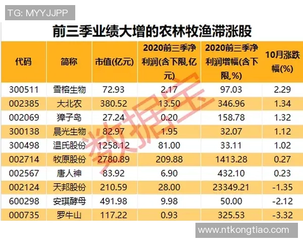 南京网球队在洲际杯积分榜上以79分稳居第一名引发关注