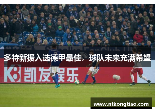 多特新援入选德甲最佳，球队未来充满希望